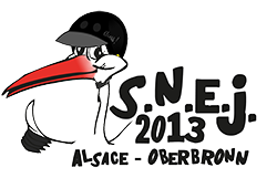 logo_snej_2013-noir