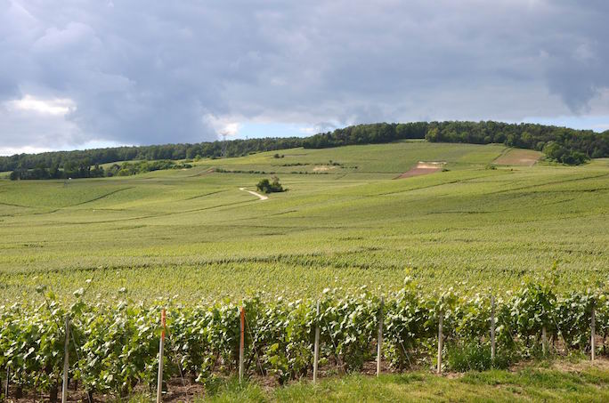 Circuit Du Mois Veloenfrance La Montagne De Reims Dans