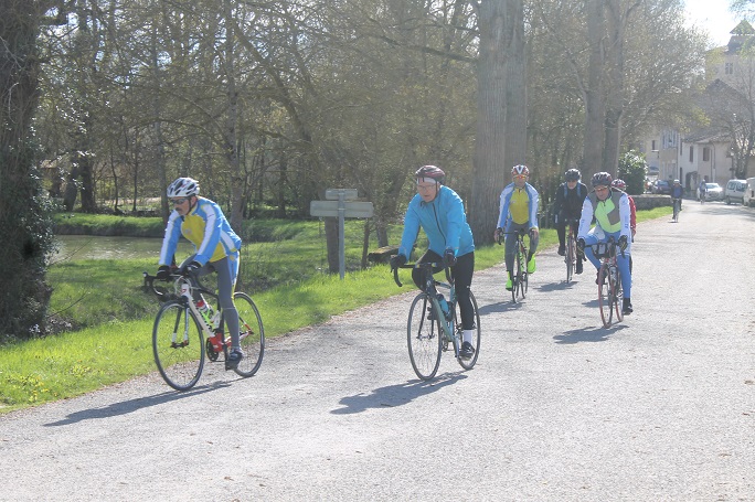 Vélo Cyclotourisme AUDAX - Pièce Ou Vélo Complet - Voir Description