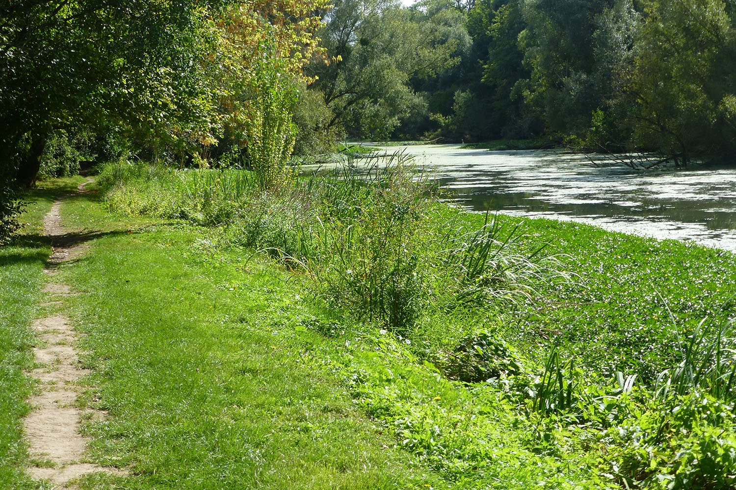 Passage bucolique en bord de Seine, à l’approche de Vernon